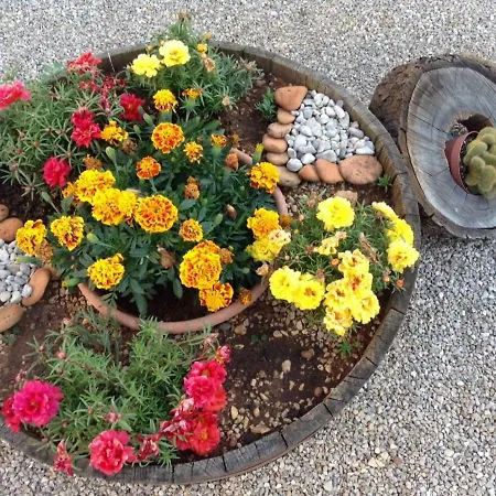 Dujmovic Διαμέρισμα *