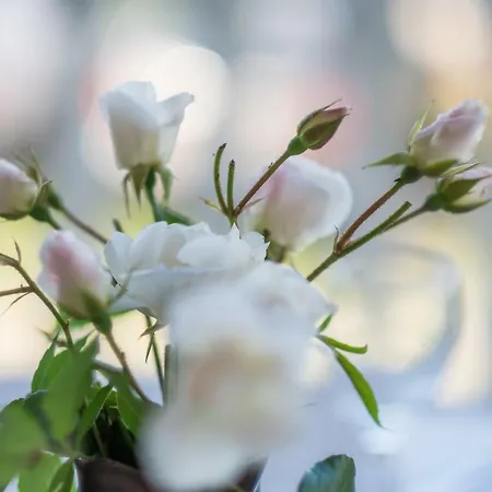 Διαμέρισμα Dujmovic *