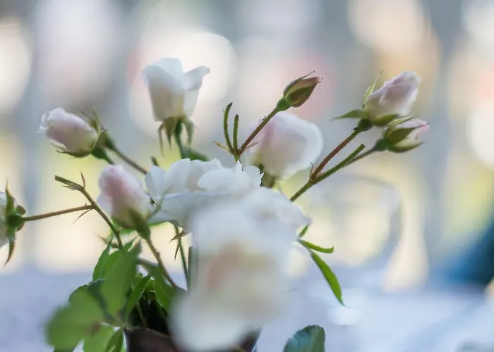 アパート Dujmovic *